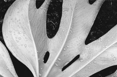 国台办：赖清德操弄、挑起政治恶斗 大失人心