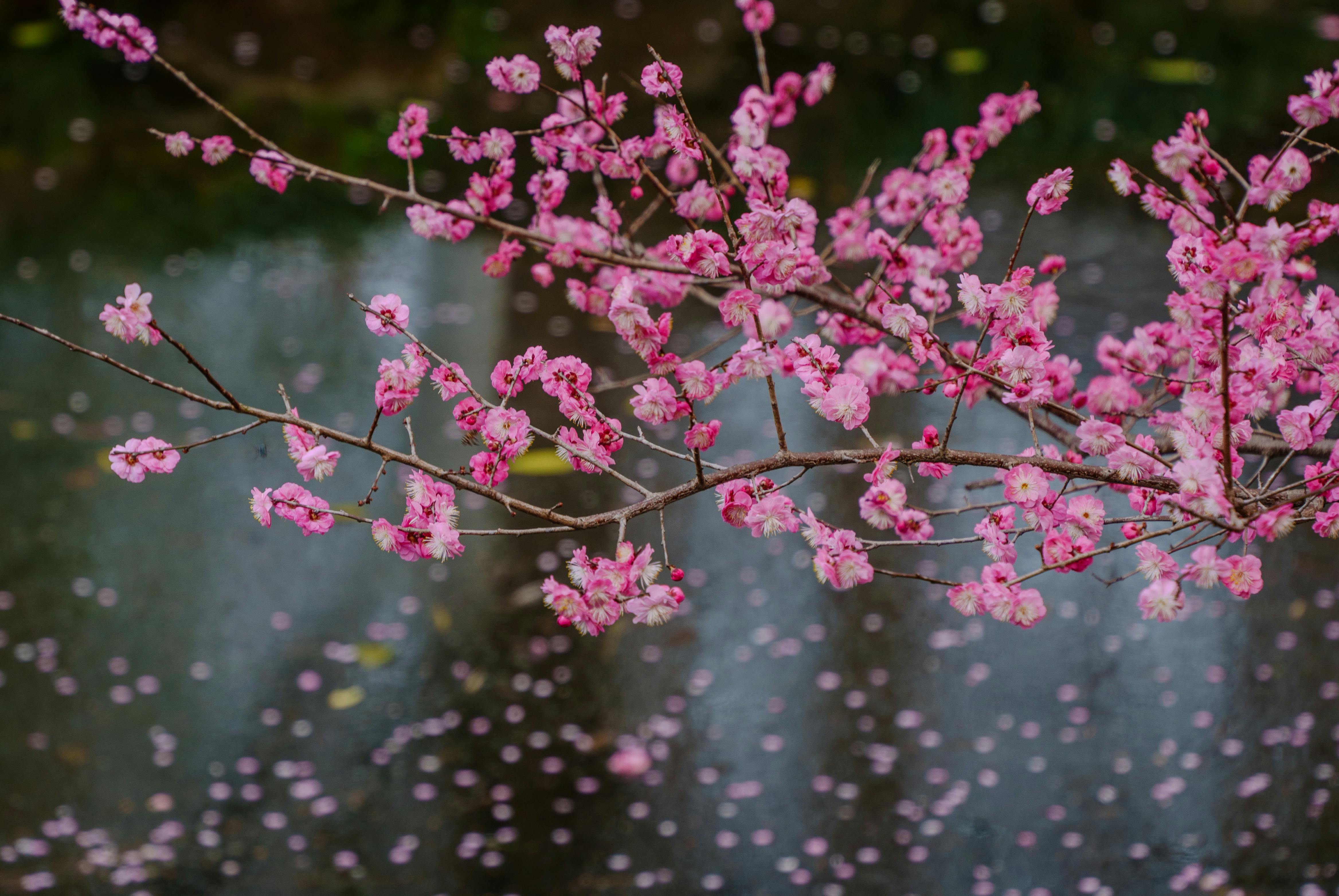 首届“泉州杯”世遗文创大赛启动 面向全球征集作品 - 图片1