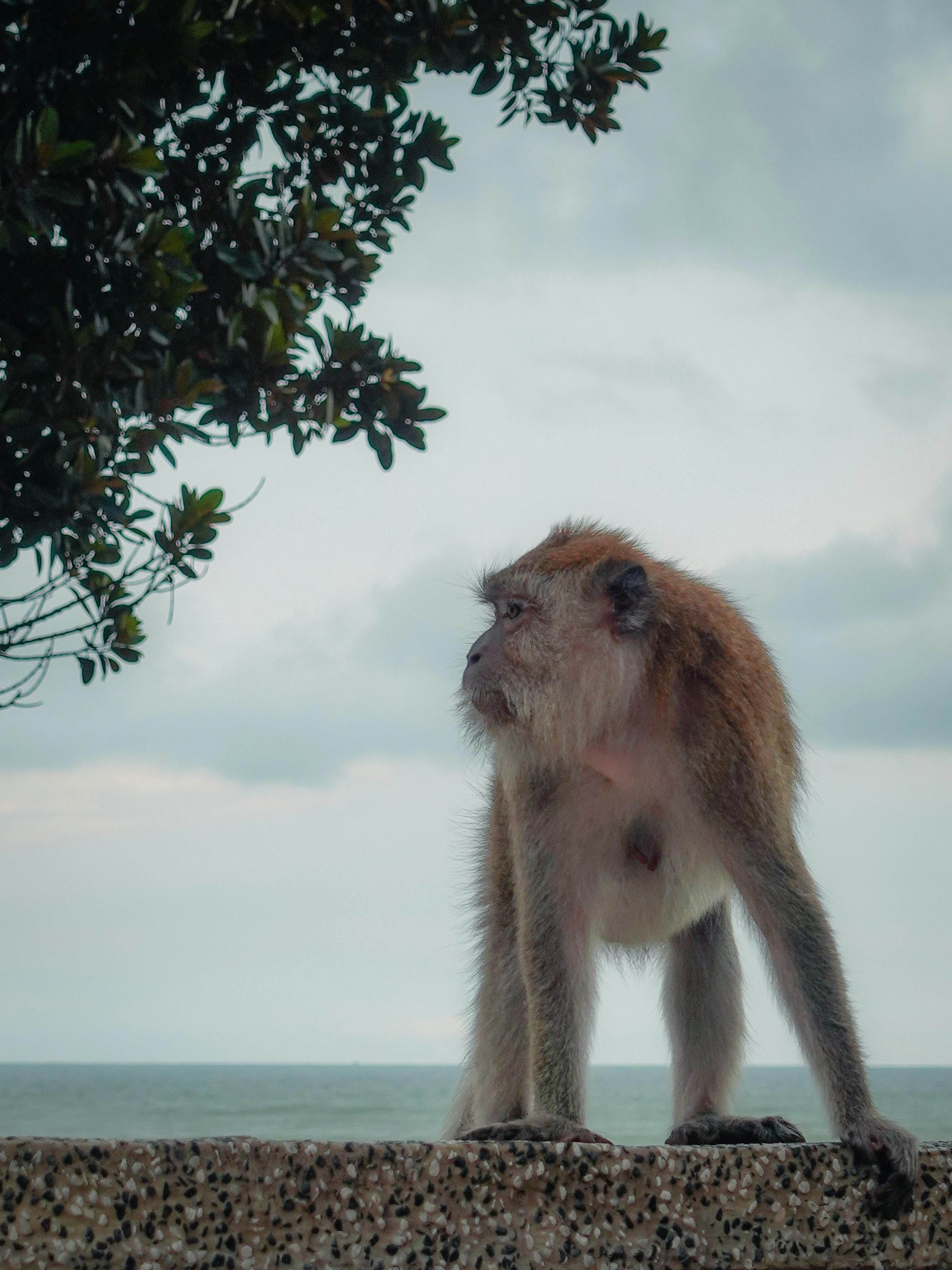 华纳兄弟据悉要求潜在买家12月1日前提交改进后的收购要约 - 图片1