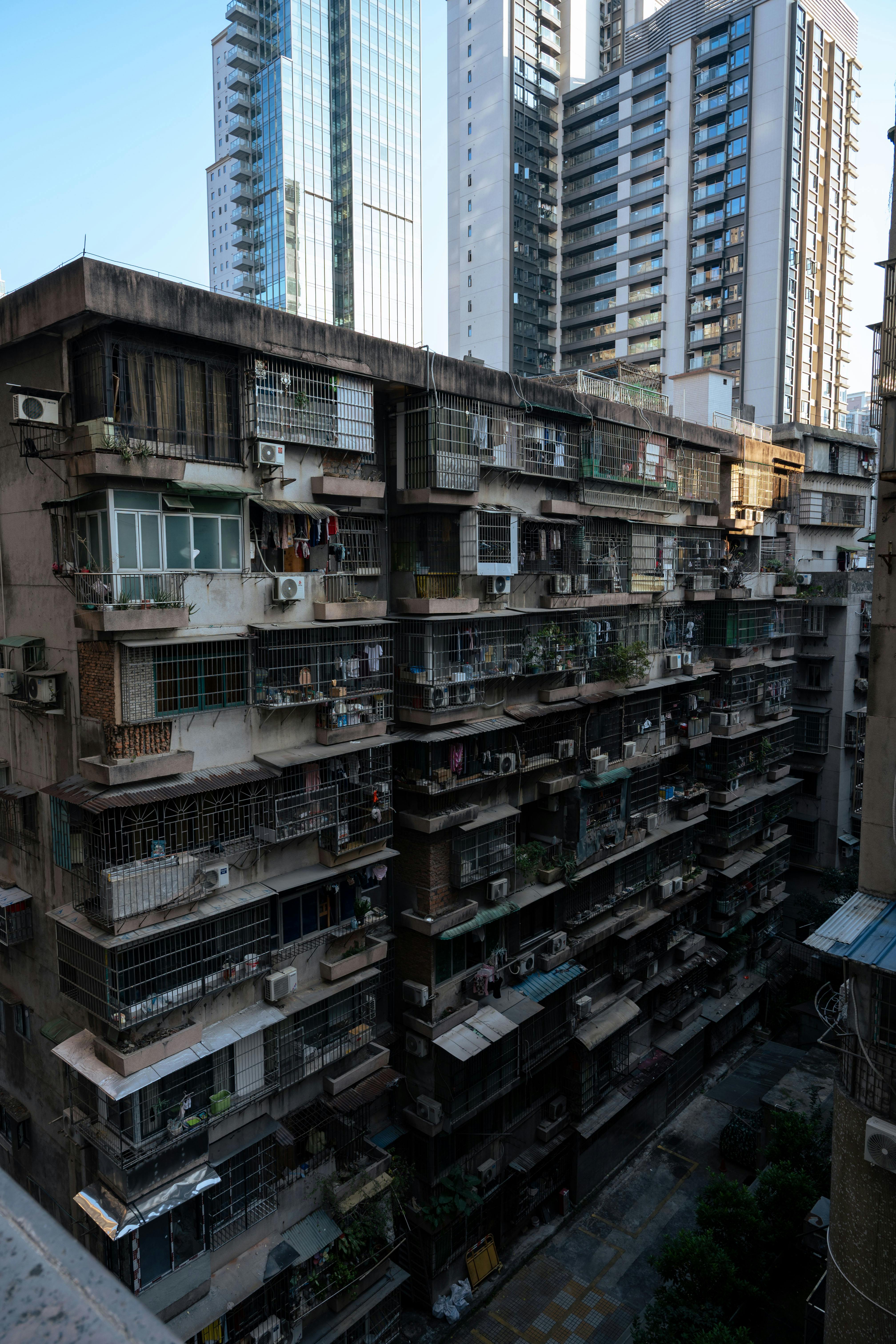 主播说联播丨做好明年经济工作，中央政治局会议提出“八个坚持” - 图片1