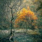 中银证券：太空数据中心建设有望加快，催生新应用场景