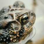 墨西哥发生大客车坠谷事故 致多人死伤