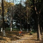 我国成功发射通信技术试验卫星二十三号，开展多频段高速率通信验证