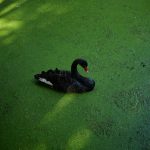 重庆：民众长江畔“围炉煮茶”乐享冬日时光